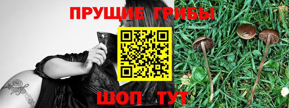 Галлюциногенные грибы прущие грибы Альметьевск