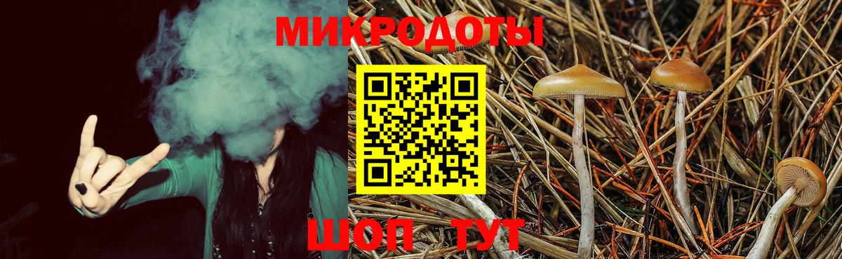 Альметьевск  Галлюциногенные грибы MAGIC MUSHROOMS  Вход с VPN  Псилоцибиновые грибы мицелий 